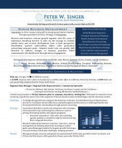 Global Business Development Executive Resume Example