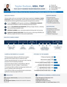 Fictionalized executive Networking Resume